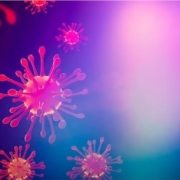 prévention covid 19 et du coronavirus