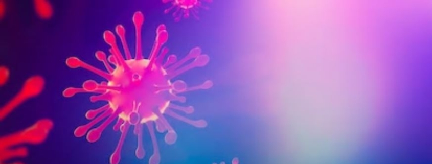 prévention covid 19 et du coronavirus